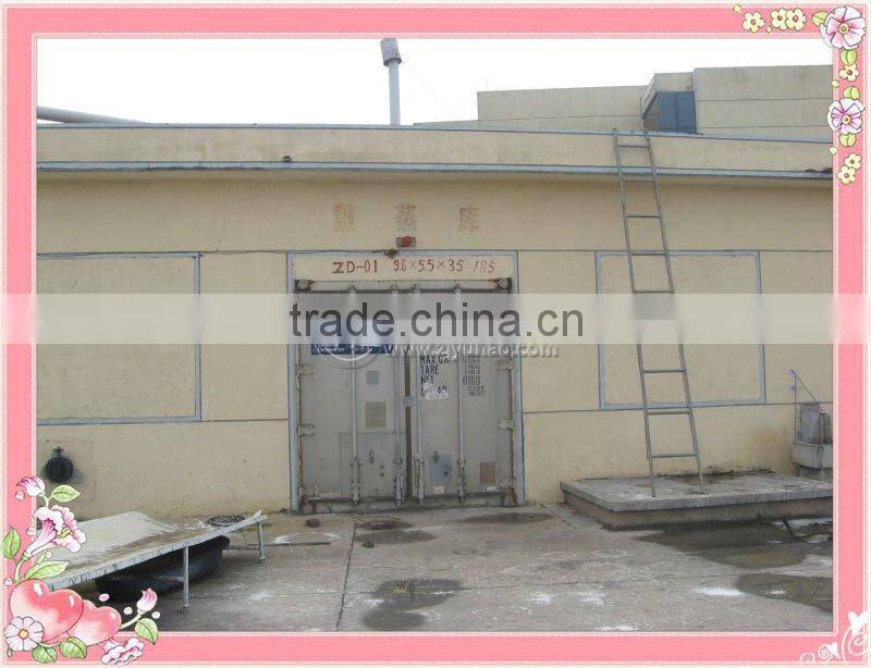 2012 Latest Fashion Spring Color Two Persons Picnic Bag