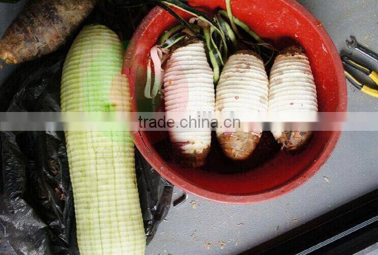 120pcs/h stainless steel taro pumpkin peeler equipment for sale