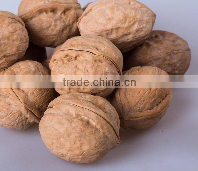Best Price Walnut in shell Whole Pice size of 30mm