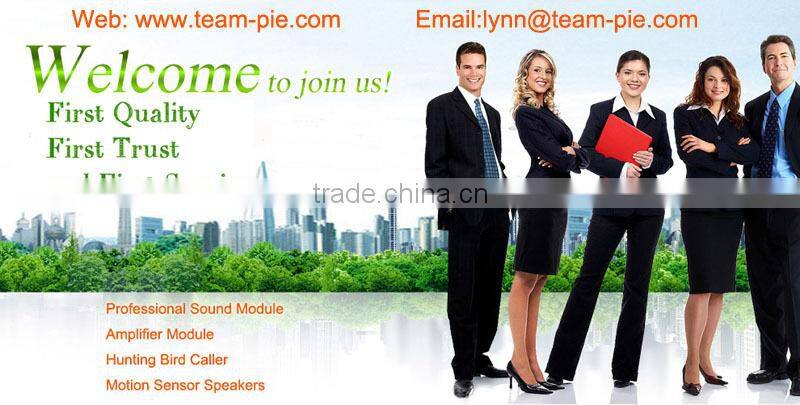 motion sensor recordable sound module