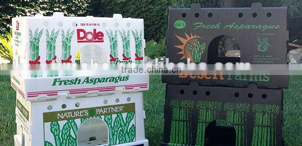 PP Protective Asparagus Packing Boxes