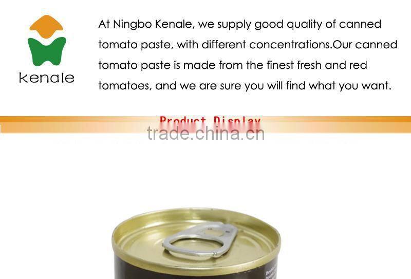 Competitive tomato paste price for 70gX100tins