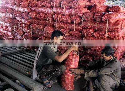 Red Onion ( Fresh ) Available throughout the Year