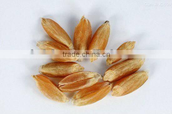 Wheat CCD color sorter machine, wheat cleaning machine, flour factory