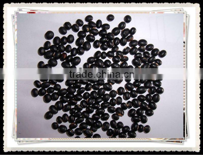 China Origin Big Black Bean 6.0mm above