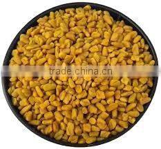 FENUGREEK SEEDS INDIAN METHI DANA