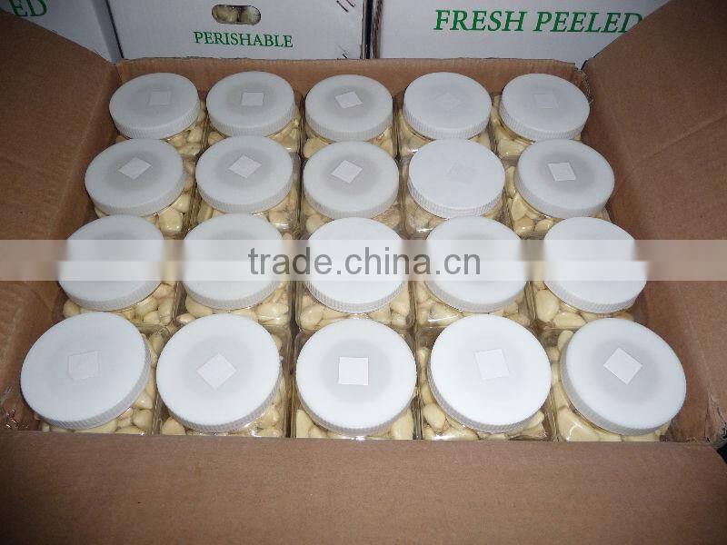 fresh peeled garlic for sales with best price