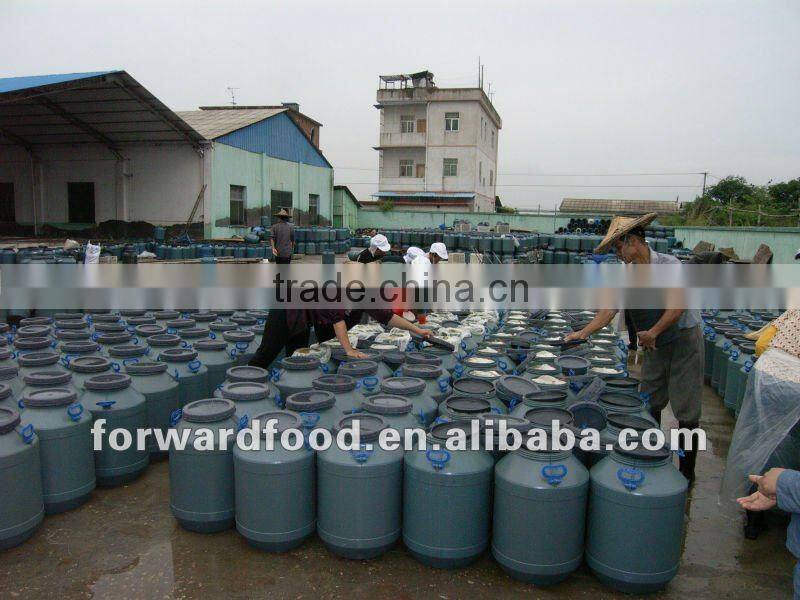 sliced salted champignon mushrooms in drums