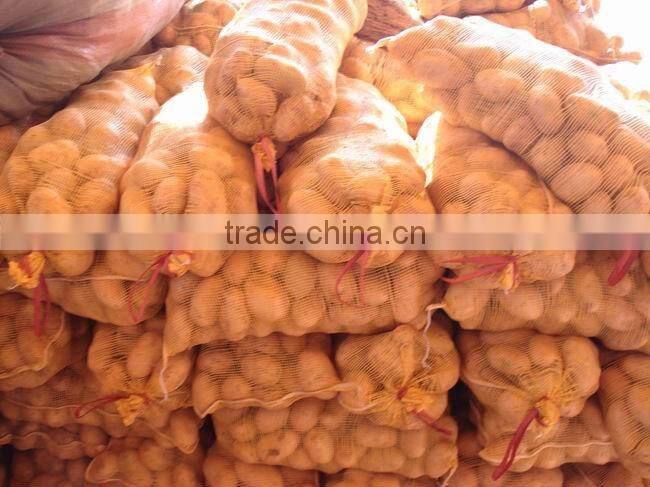 2016 china fresh potato