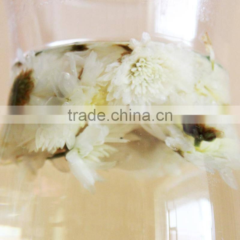 chrysanthemum flower tea from huangshan,chinese chrysanthemum tea,huangshan tribute chrysanthemum