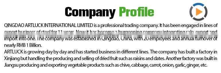 large size largest rooftop tent for family