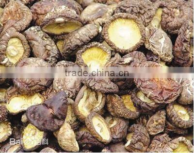 dried shitake mushrooms
