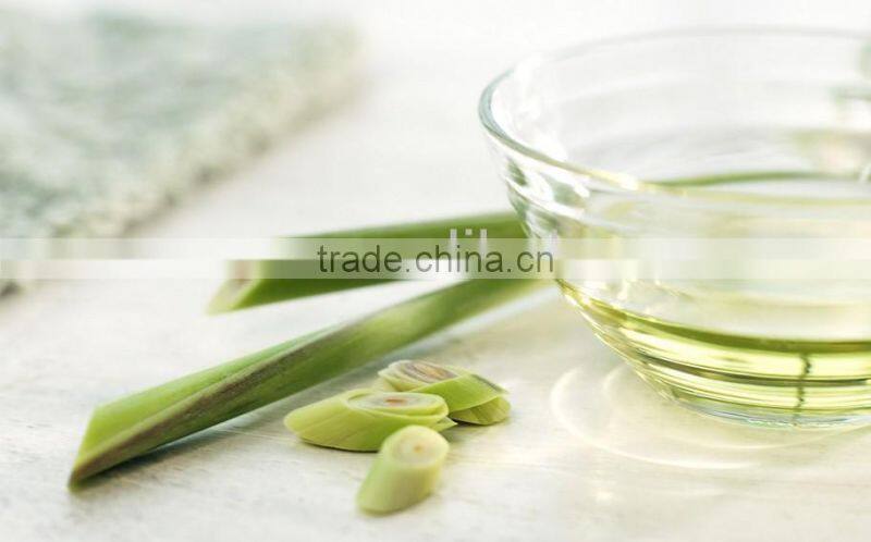 ginger oil extraction machine