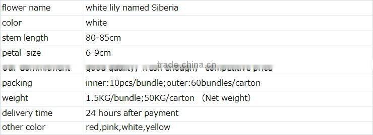 Supply high quality fresh cut oriental white lily