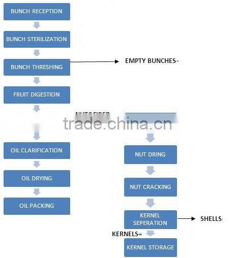 Palm oil production line , palm oil process line | plant | factory | machine | machinery | eqiuipment