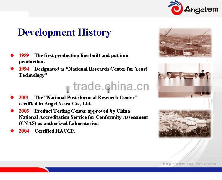 Angel Active Dry Yellow Wine Yeast,Chinese wine,saki