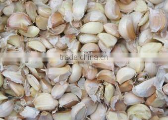vegetable planting garlic clove separator +8618637188608