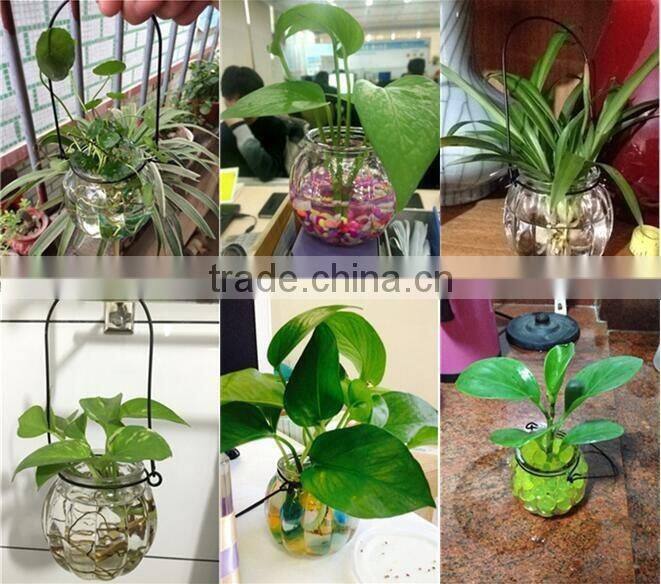 hang transparent glass vase/Other copper grass plants hang bottle hydroponic flower pot