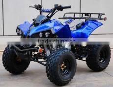 adult 110cc ATV
