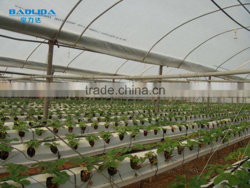 Greenhouses For Commercial /Industrial /Agricultural Use
