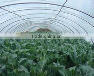 agricultural plastic film