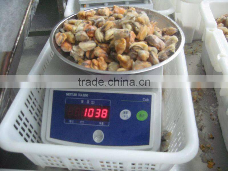 IQF blue mussel meat