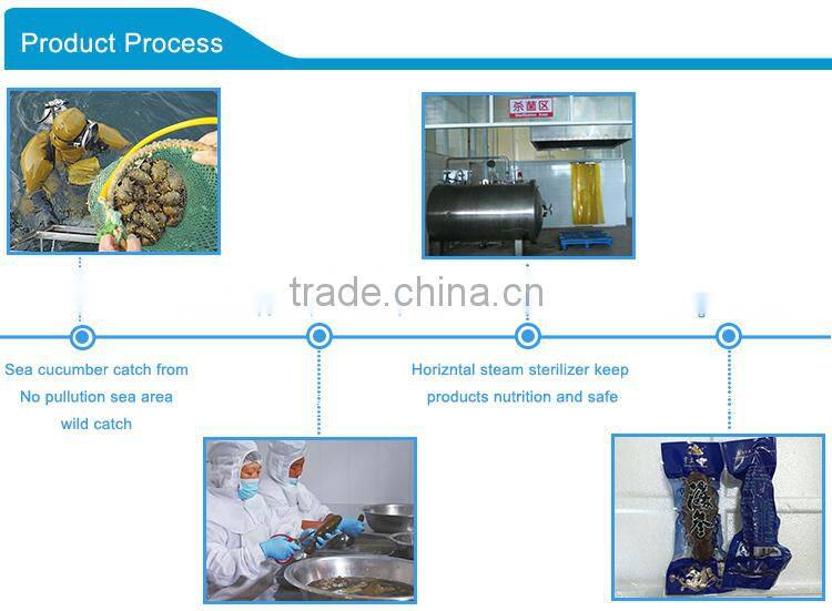 HL011 Health nutrition Ginant sea cucumber frozen for sale 2015 for export