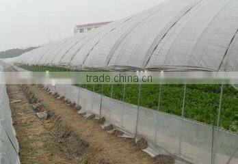 Durable PE Film Covering Single Tunnel Greenhouse for Sale