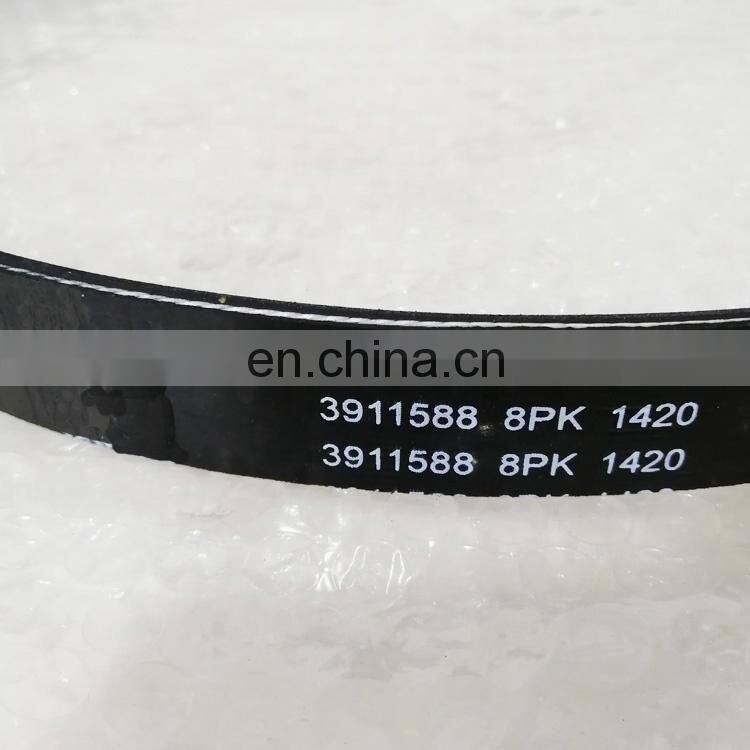 Belt 14208 3900329 (2).jpg