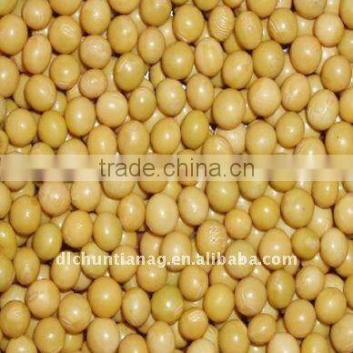 Chinese Non GMO Organic Soybeans