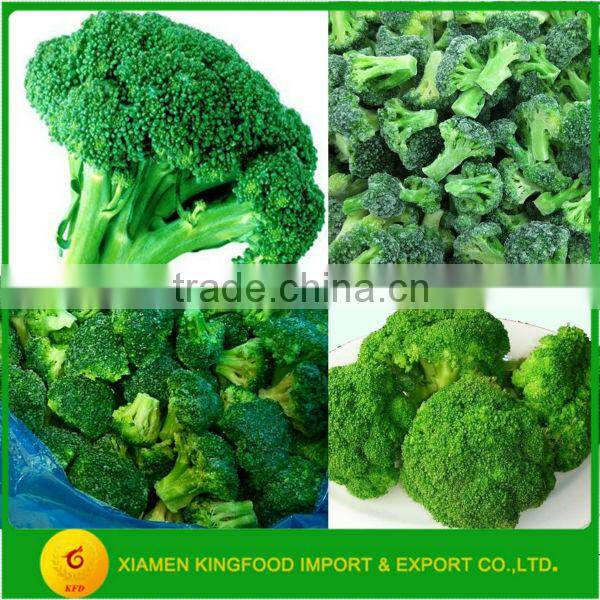 Supply Frozen Broccoli Flower in Stock