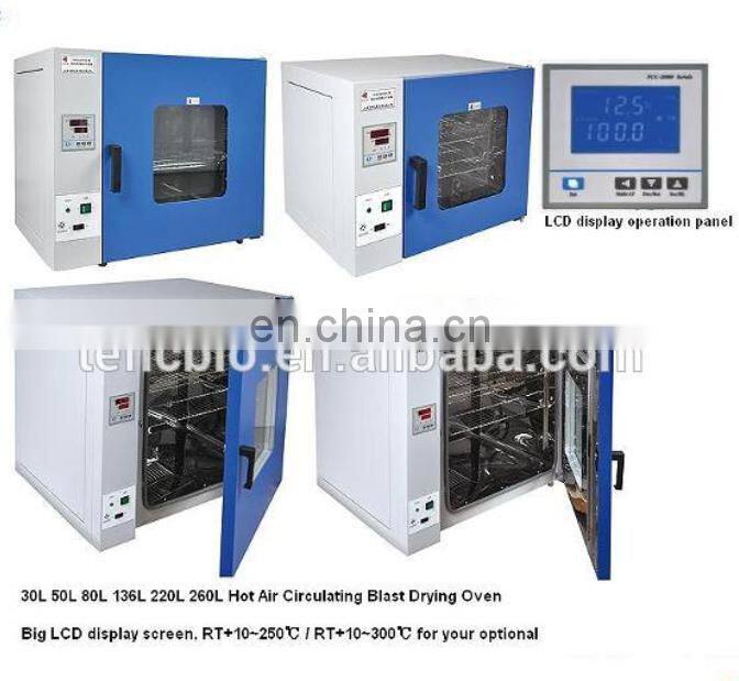 High Quality Precise Temp Control Electric Blast Drying Oven