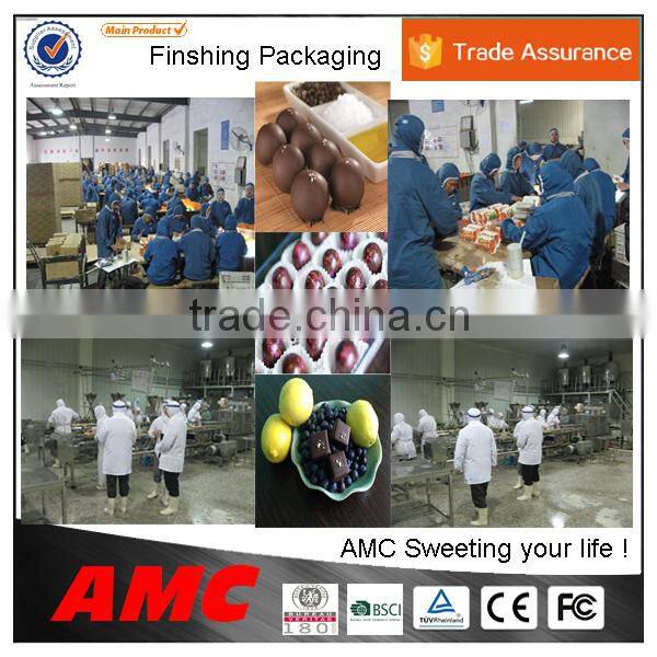 mulit functional chocolate machine enrobing for coating food