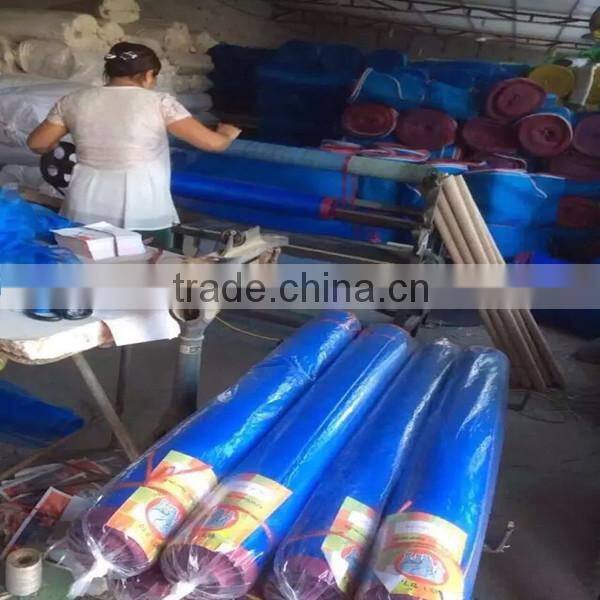 China Factory Blue Anti Insect Net