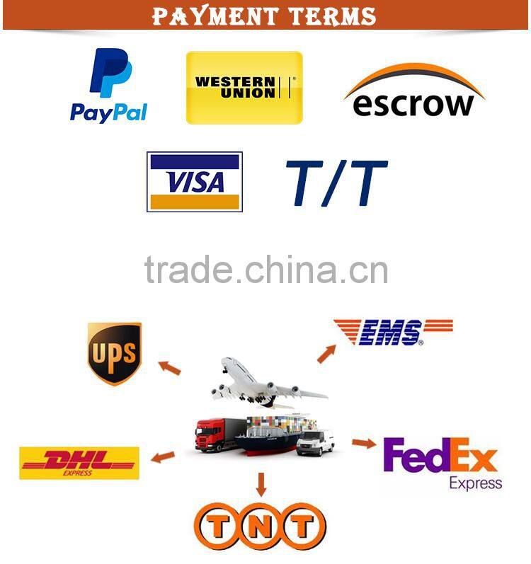 Tagore TG216-FD Cake Decoration Airbrush Kit with Mini Compressor