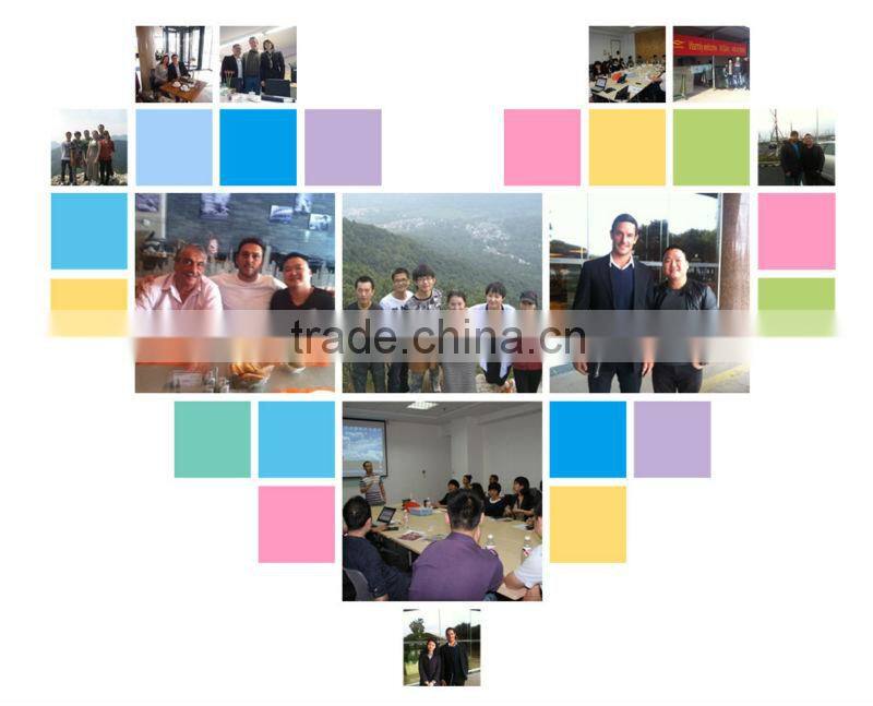 2013 Hot-sale White/Black Bathtub Function Back Jets Bath Tubs