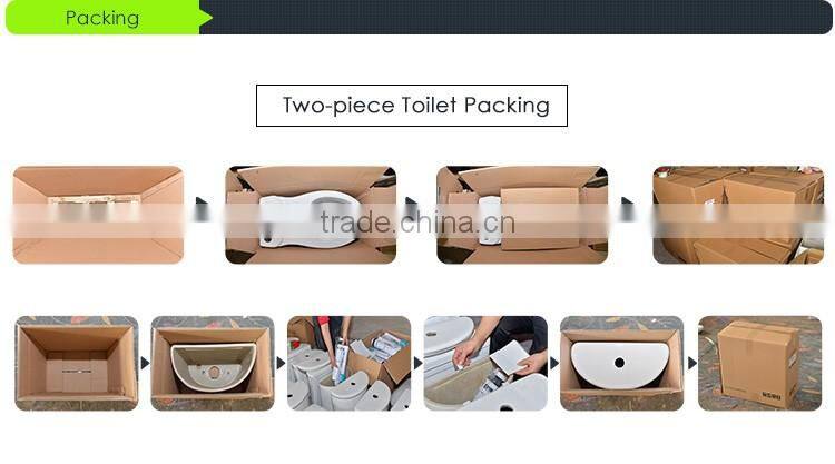 High end washdown s-trap two piece toilet interior design