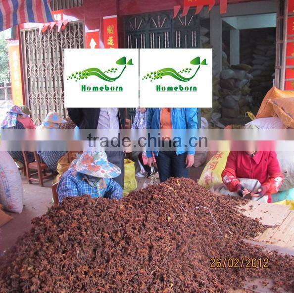Star aniseed autumm crop Chinese exporter for Cook