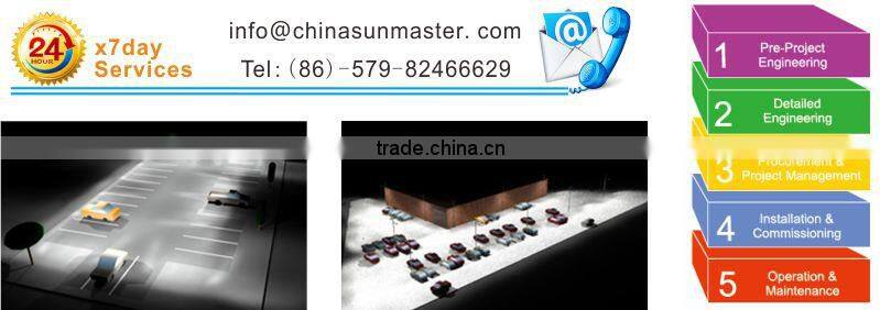 12V/24V Intelligent solar street light with pole