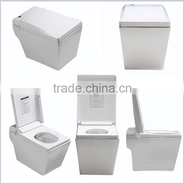 Professional supplier high quality toilet homes siphonic wc
