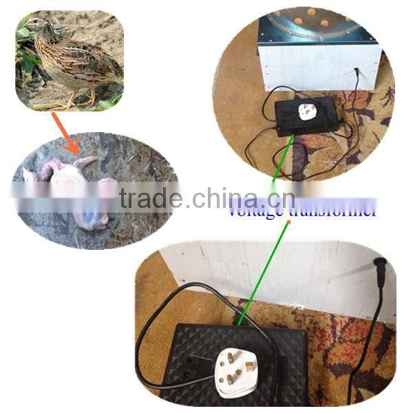 New design used slaughterhouse equipment for sale with high quality used chicken plucker