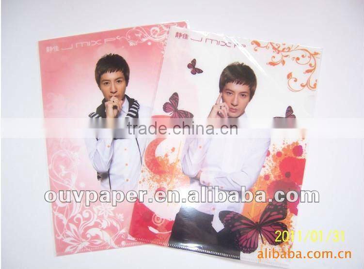 Colourful transparent L folder