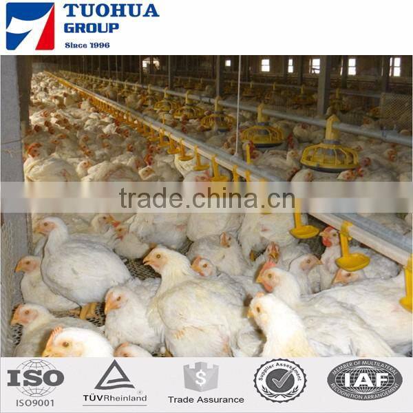 3 tiers layer poultry cages for kenya farms