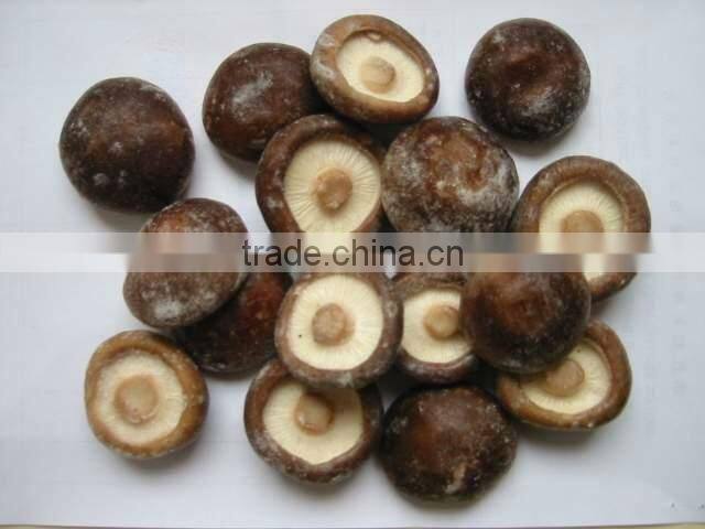 Price for Frozen Shiitake Mushroom Whole