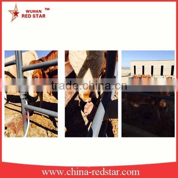 Cast Iron Cattle Drinking Water Bowl With Lock