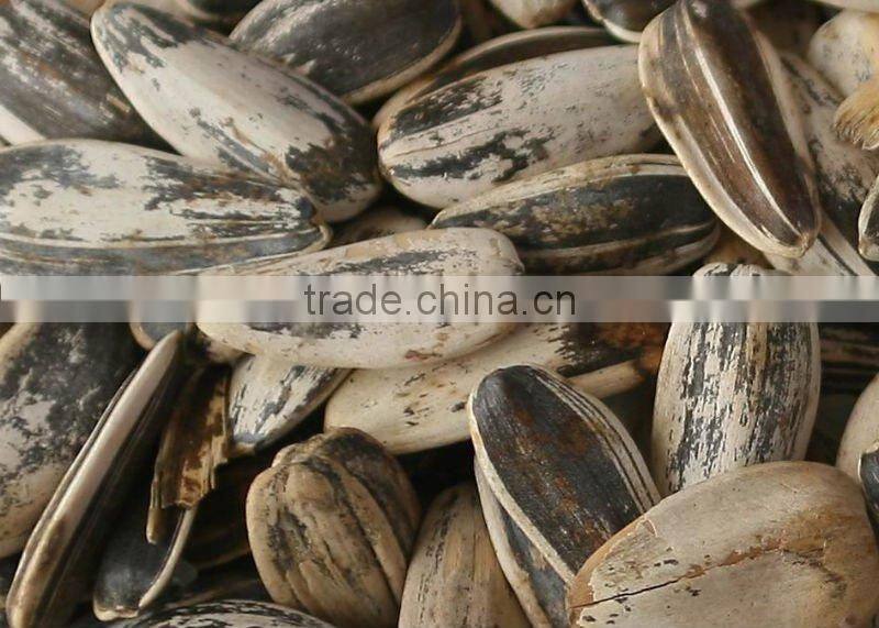 The newest sunflower seed sorting machine