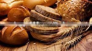 Hot Breezes Revolve Oven Industrial Convection Ovens Italian bakery machine