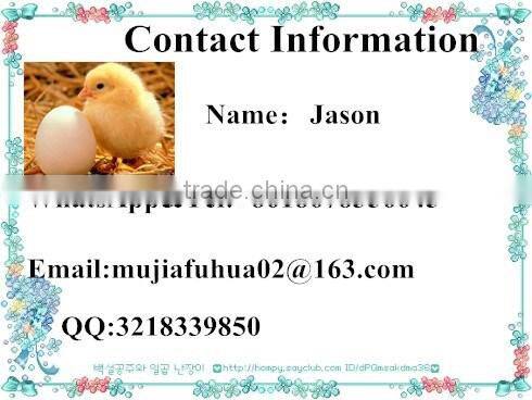 Automatic debeaking machine