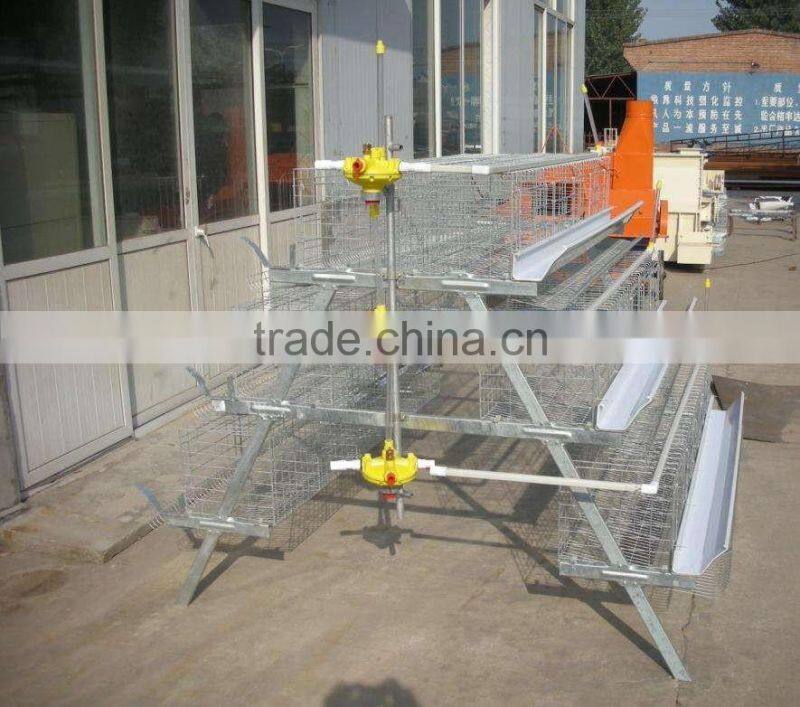 3-layer chicken layer cage price