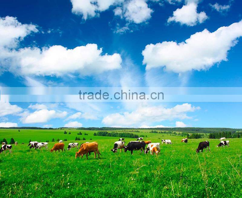 Hot! 125Khz RFID Animal Ear Tags for Animal Identification